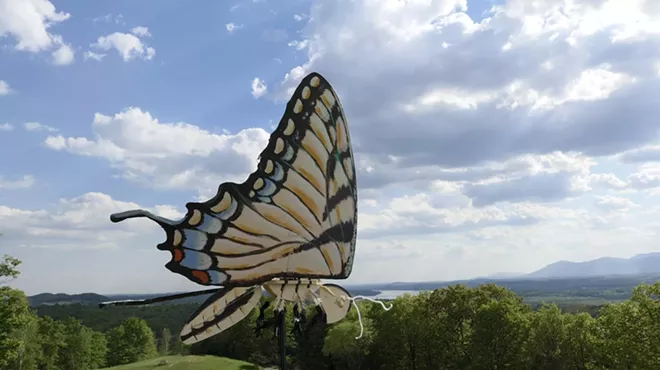 Image: The Great Pollinator Ramble