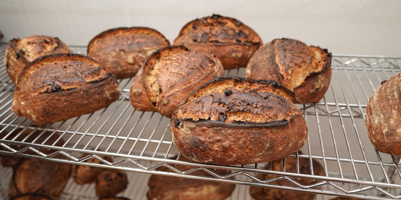 Sourdough Mini Loaf- Recipe - Crafty Gemini