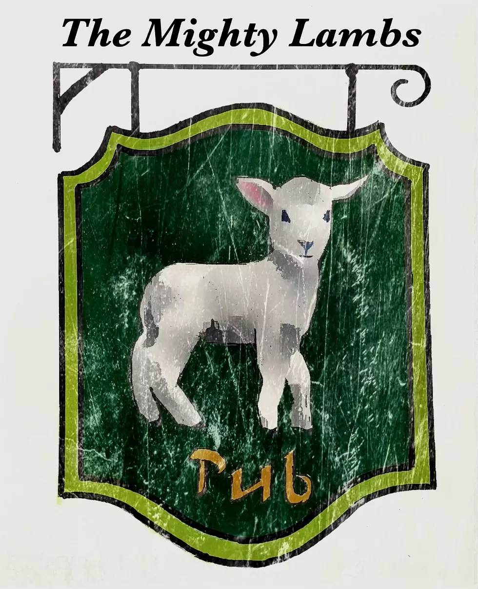 THE MIGHTY LAMBS by David Bunce