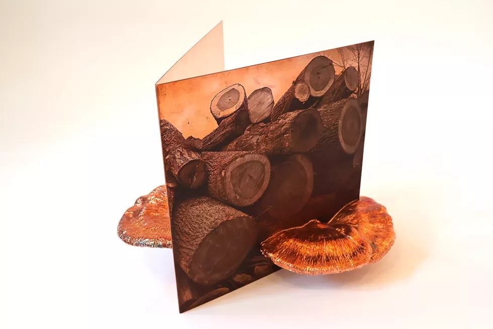 Richard Klein, Double Album, 2026, copperplate photogravure, copper electroplated Resinous Polypore (ischnoderma resinosum) fungi 12.5 x 13 x 13 inches (without base), 34 x 16 x 16 inches (with base)