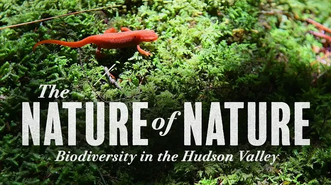 Image: The Nature of Nature: Biodiversity in the Hudson Valley