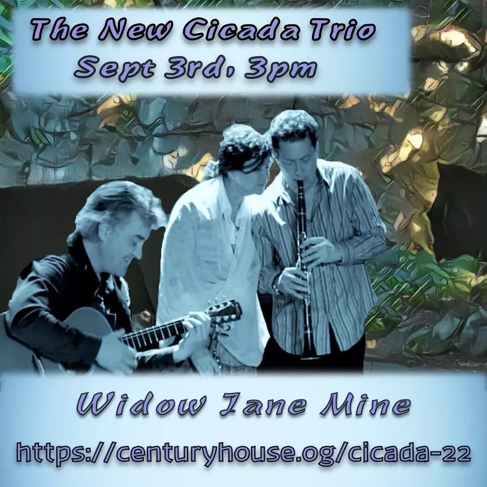 The New Cicada Trio: Iva Bittov&aacute;, Timothy Hill, David Rothenberg