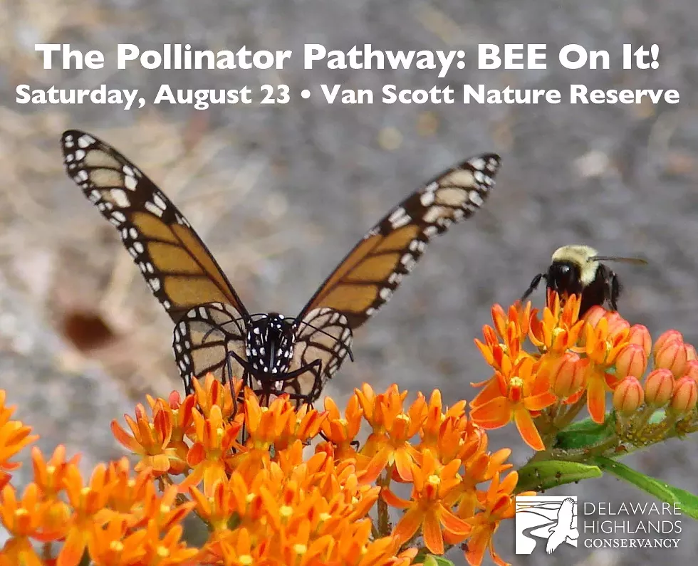 pollinator-pathway-dhc.webp