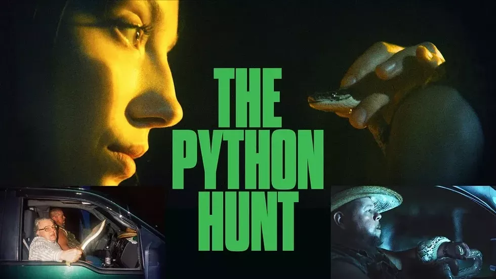 the-python-hunt.webp
