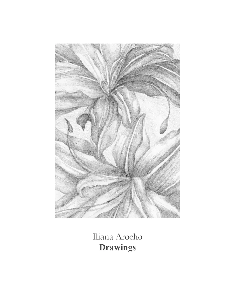 iliana_arocho_drawings.webp