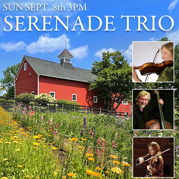 The Serenade Trio