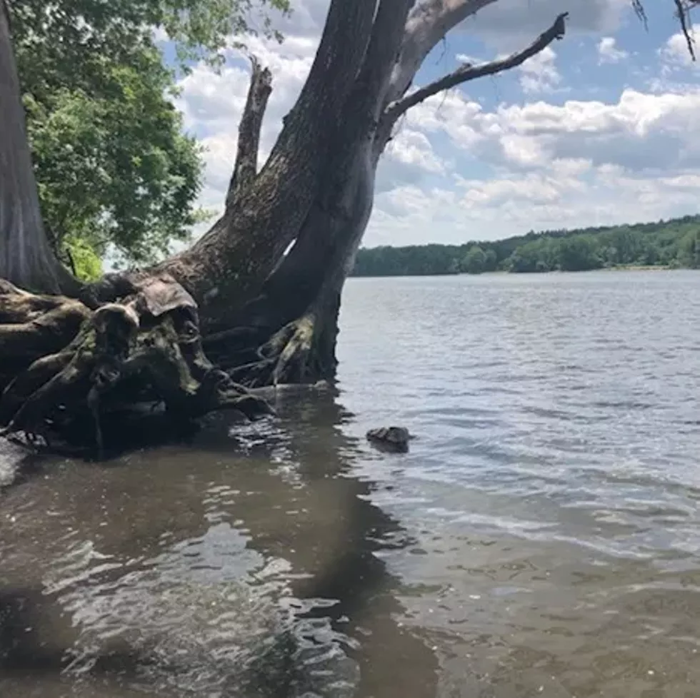 A view of the Hudson River near Papscanee Island
