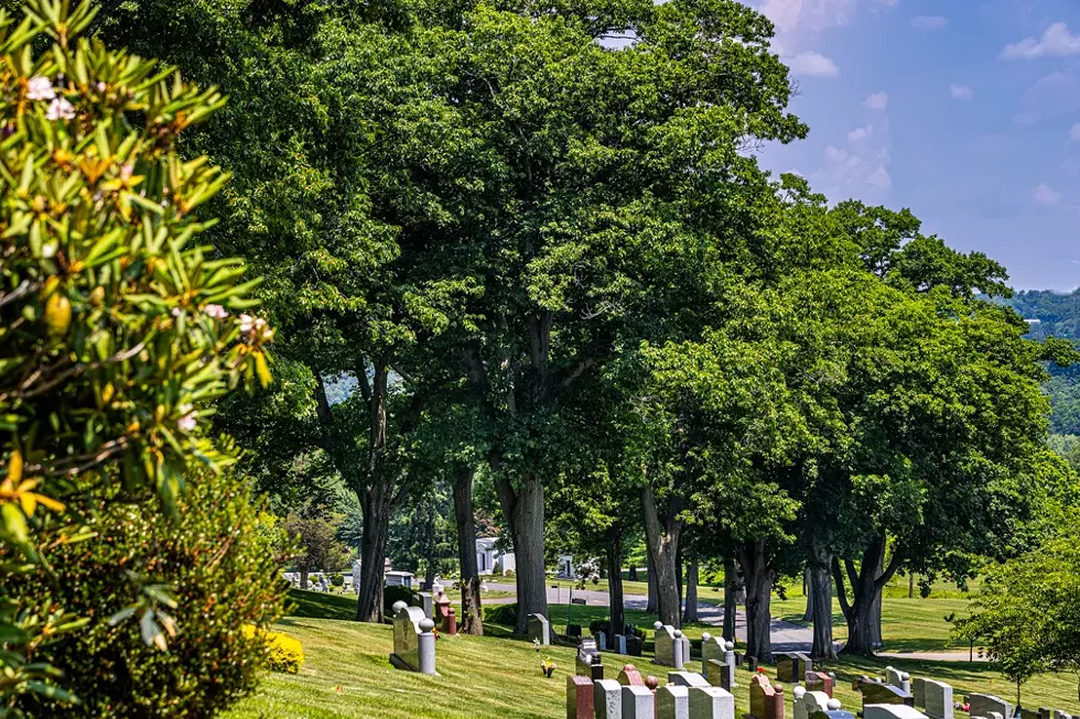 The Kensico Cemetery