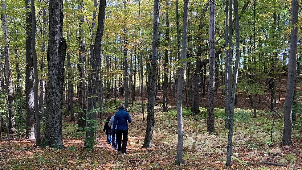 hikers-walking-in-woods-fall.webp