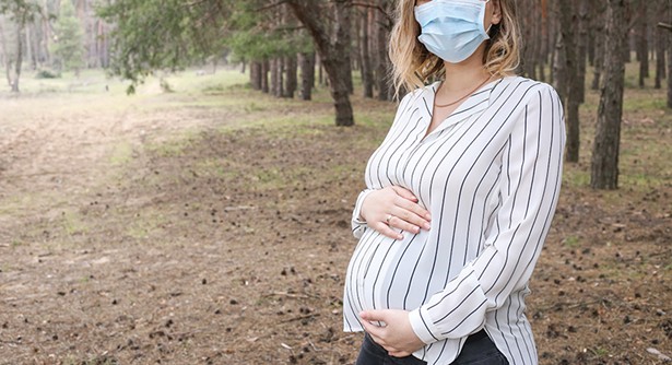 Changes in the Labor Department: Pregnant in a Pandemic