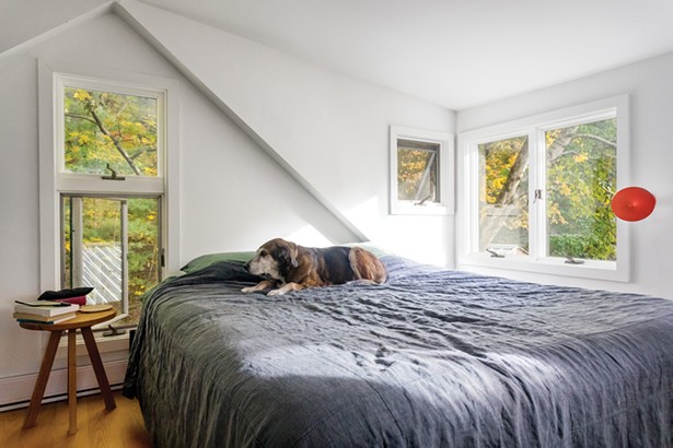 Gone to the Dogs: Two Writers Design Pup-Friendly Abode in the Woods