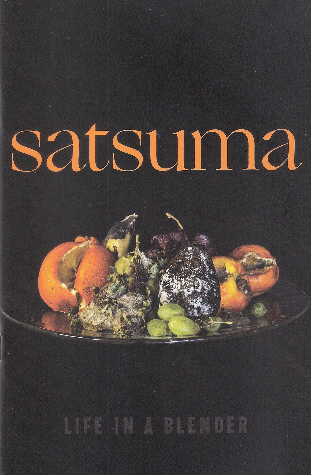 Album Review: Life in a Blender | Satsuma