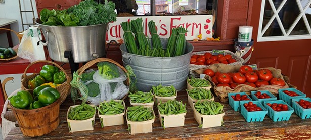 Tantillo’s Farm Market Brings Homegrown Family History to the Hudson Valley