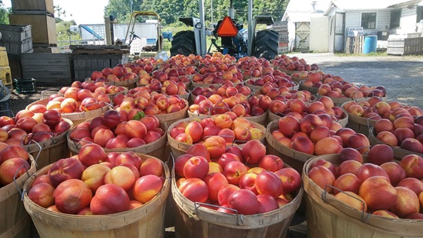 Apples, Pies, Cider (Sweet & Hard)...Soons Orchards Has It All