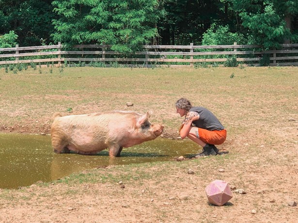 Meet Fortunate Farm Animals at the Woodstock Farm Sanctuary