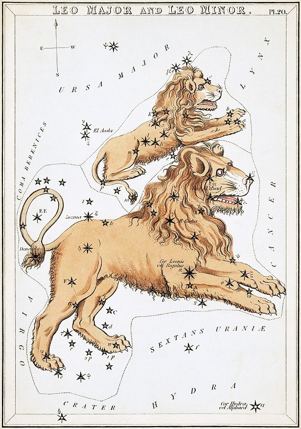 Leo Horoscope | September 2023