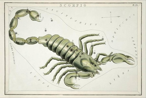 Scorpio Horoscope | September 2023