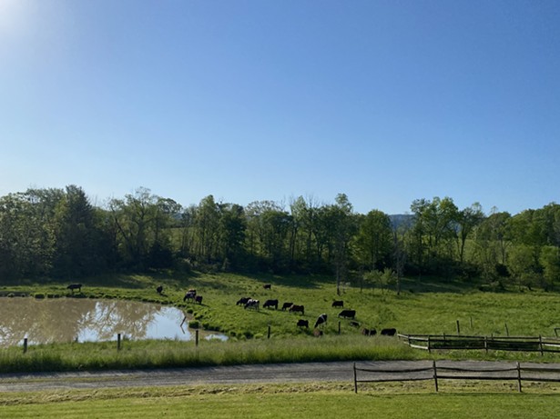 Amid Factory Farming, Hudson Valley Embraces Small-Scale Farming Solutions