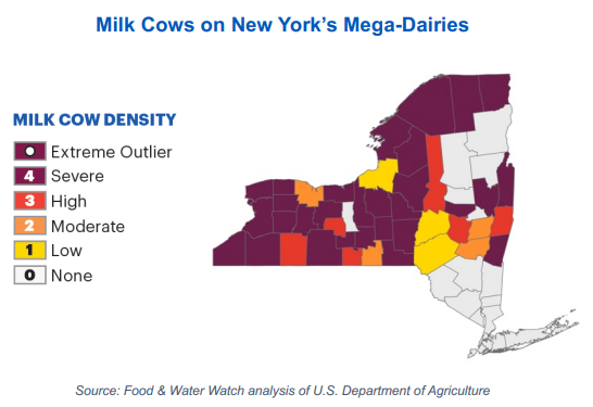 Amid Factory Farming, Hudson Valley Embraces Small-Scale Farming Solutions