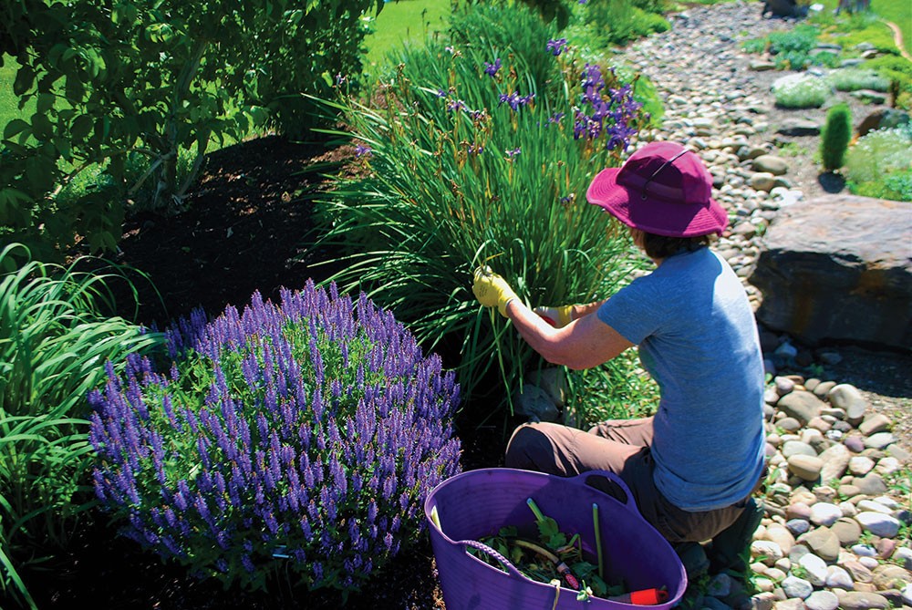 A Water-Wise Teaching Garden for the Hudson Valley