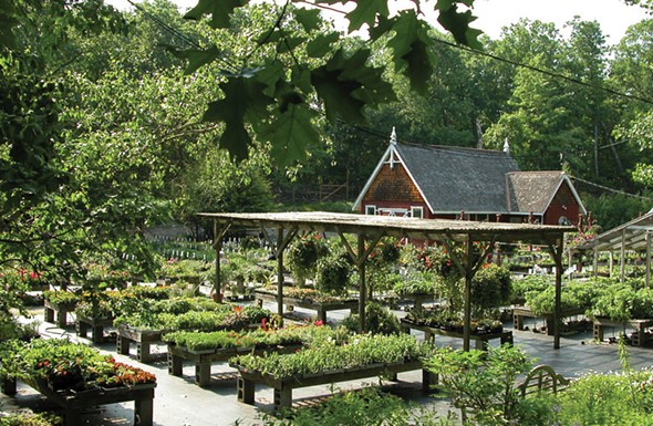 Art of Business: Northern Dutchess Botanical Gardens