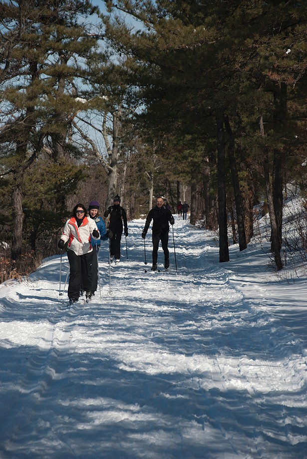 Cross-Country Skiing for the Novice