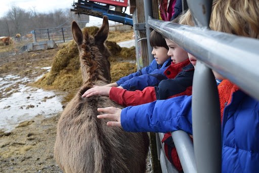 Poughkeepsie Day Students Head to Sprout Creek Farm for Experiential Learning
