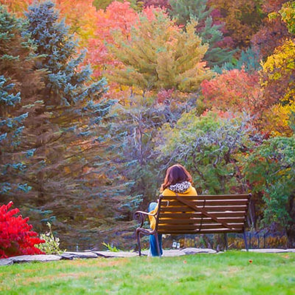 Nature Bench at Kadampa Meditation Center New York