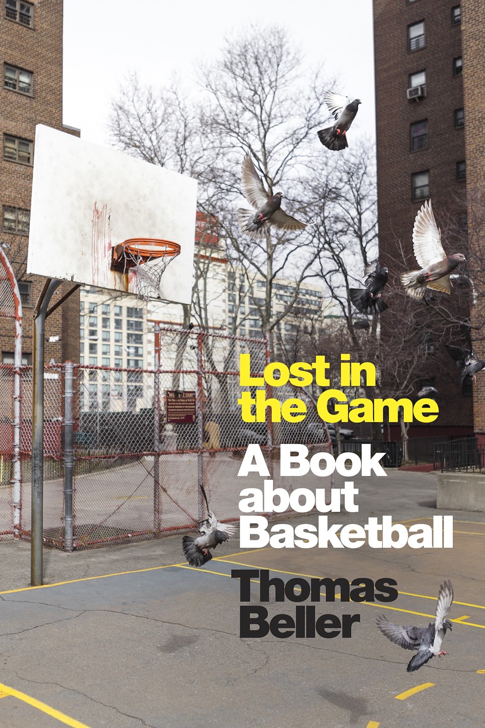 Lost in the Game: A Book about Basketball by Thomas Beller