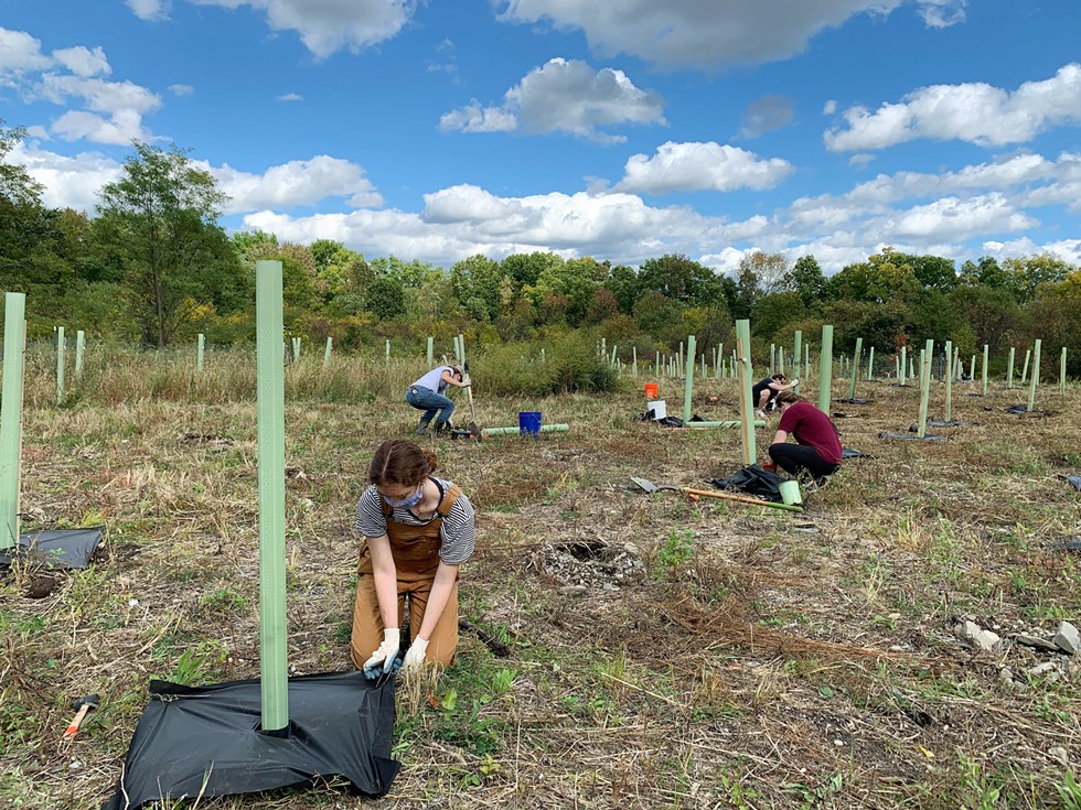 Tree planting on the Preserve