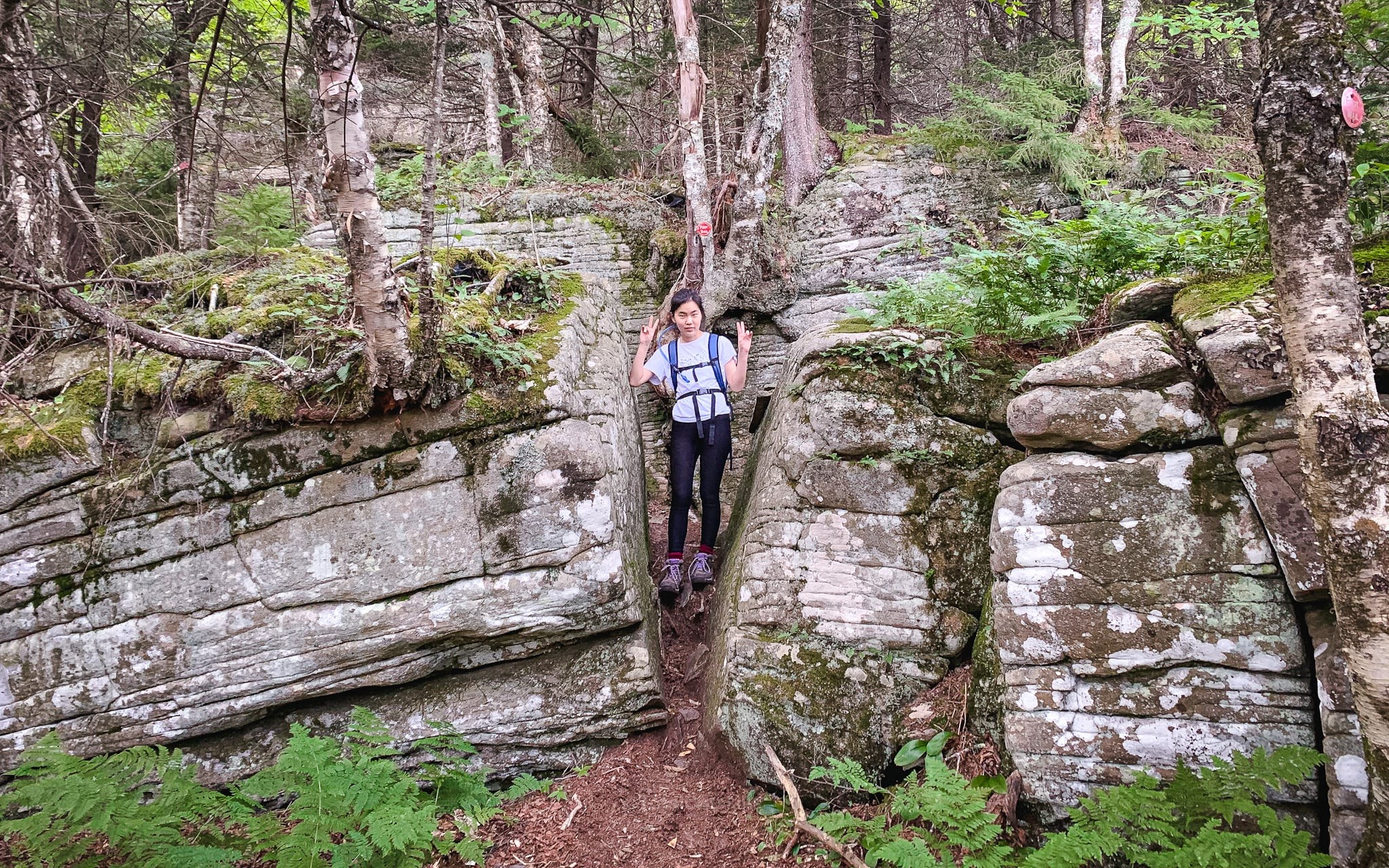 Devil's Path: How to conquer toughest hike in Catskill Mountains (photos) 