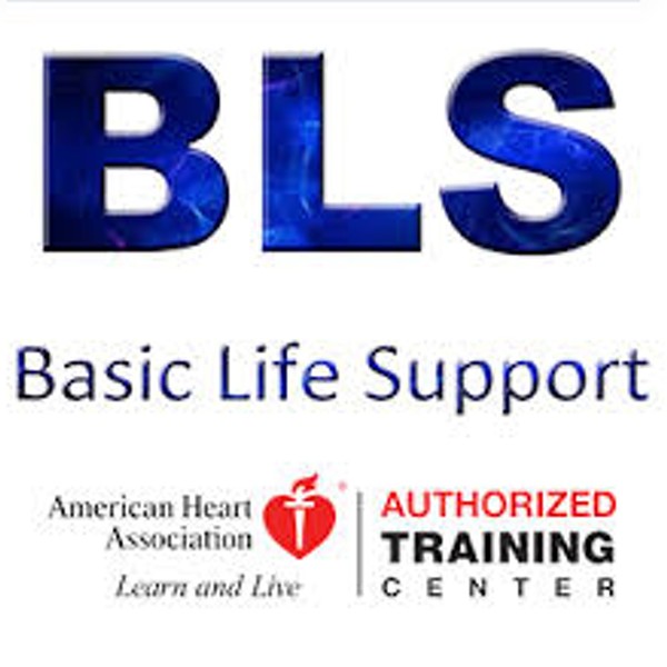 AHA Basic Life Support Certification Course