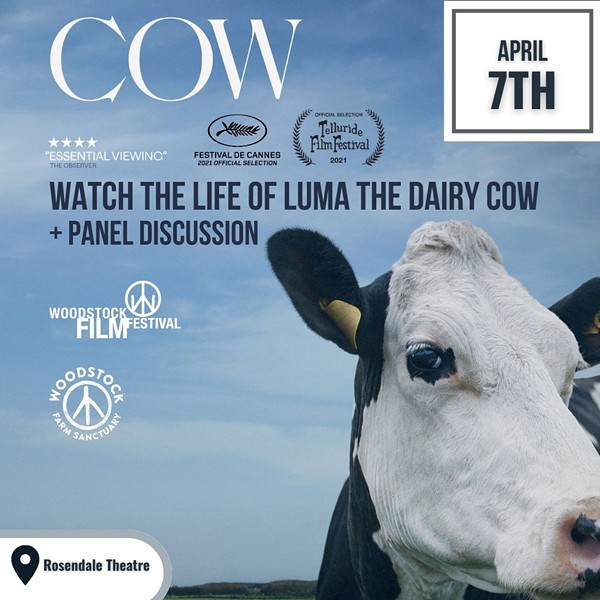 COW Screening + Panel Discussion with Woodstock Farm Sanctuary