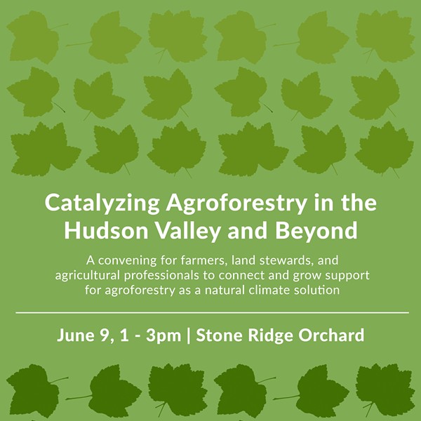 Catalyzing Agroforestry in the Hudson Valley and Beyond