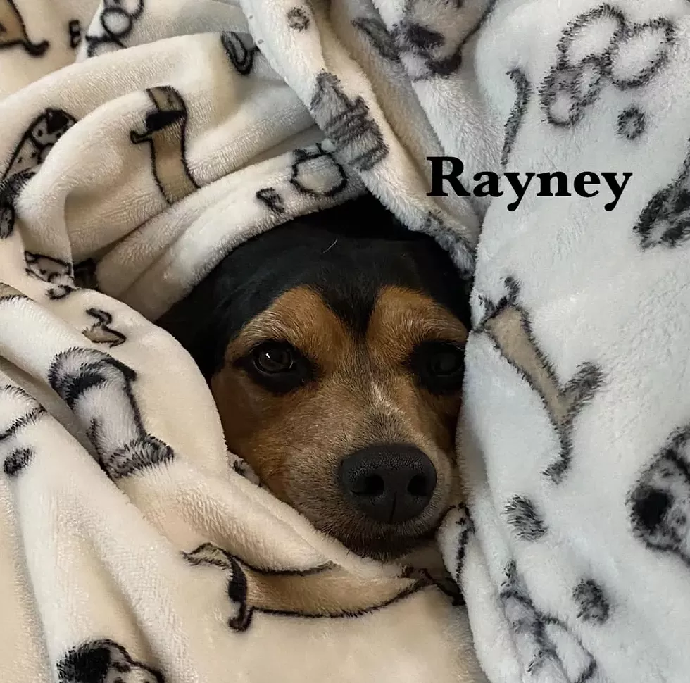 rayney.webp