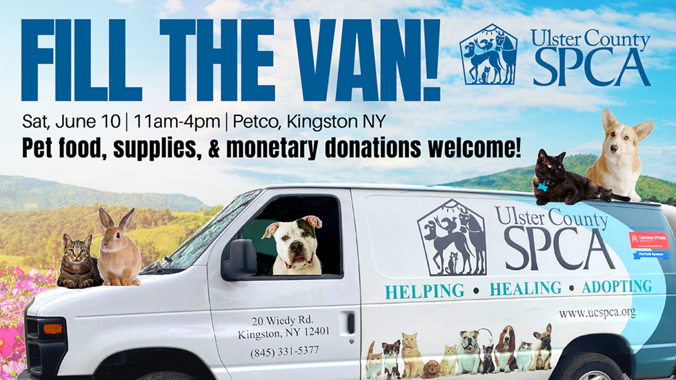 fill-the-van-10.png