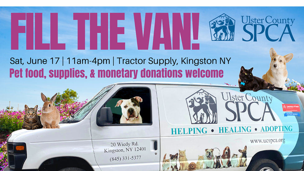 fill-the-van-17.png