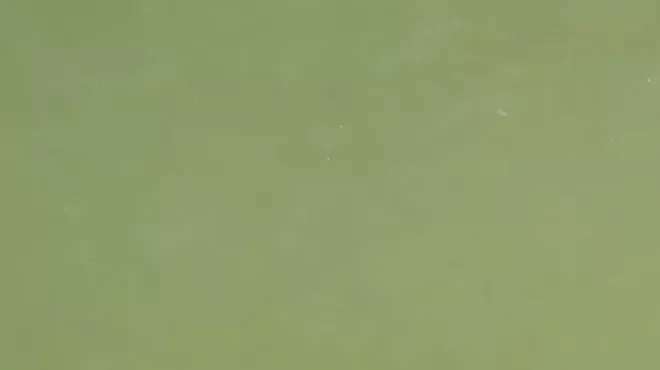 Image: Under the Surface: Lake Explorers at Olana