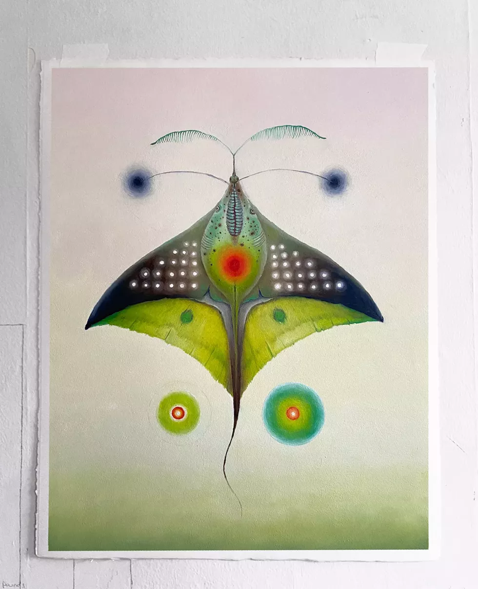 Sea Moth (Communication Attempt)