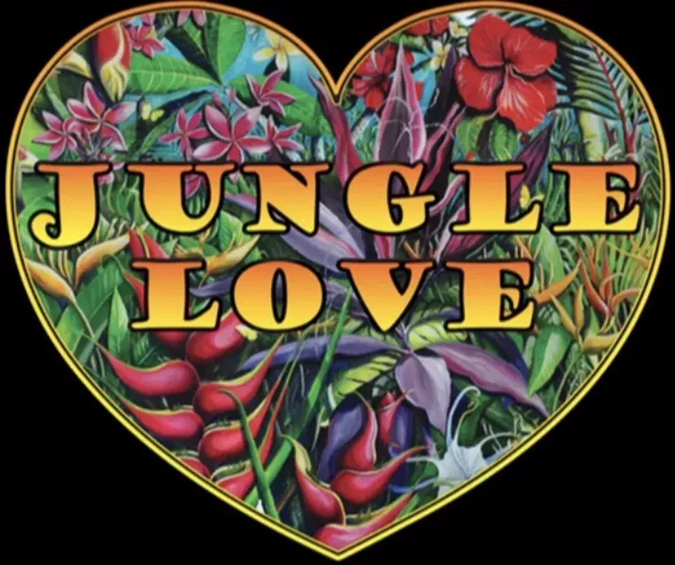 Jungle Love