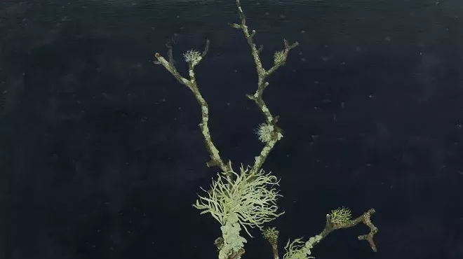 Image: Vanishing Flowers with Monika Zarzeczna