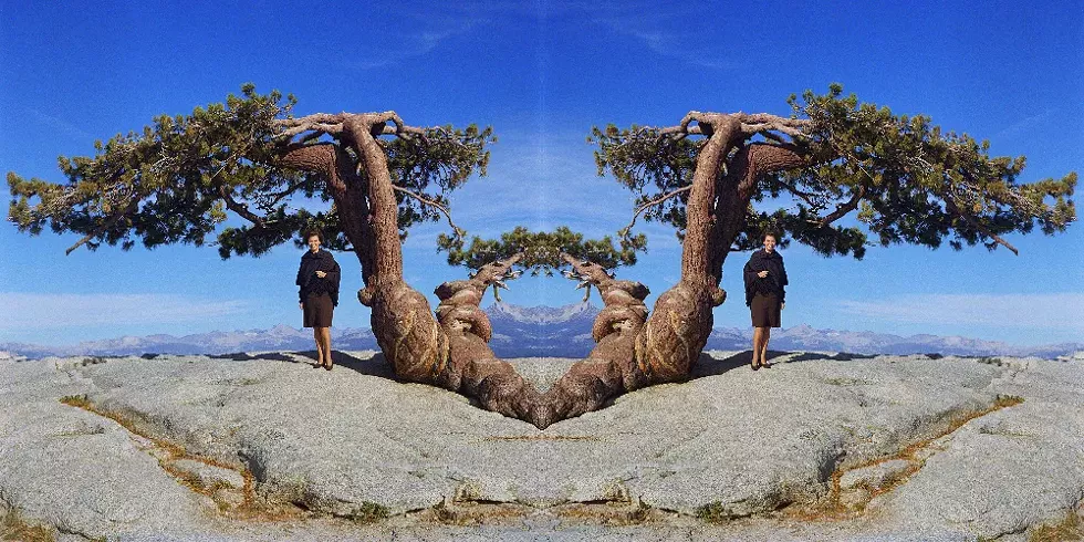 Susan Magnus: Sentinel, 2024; UV print on linen; 60 x 120 inches. Image courtesy of the artist.