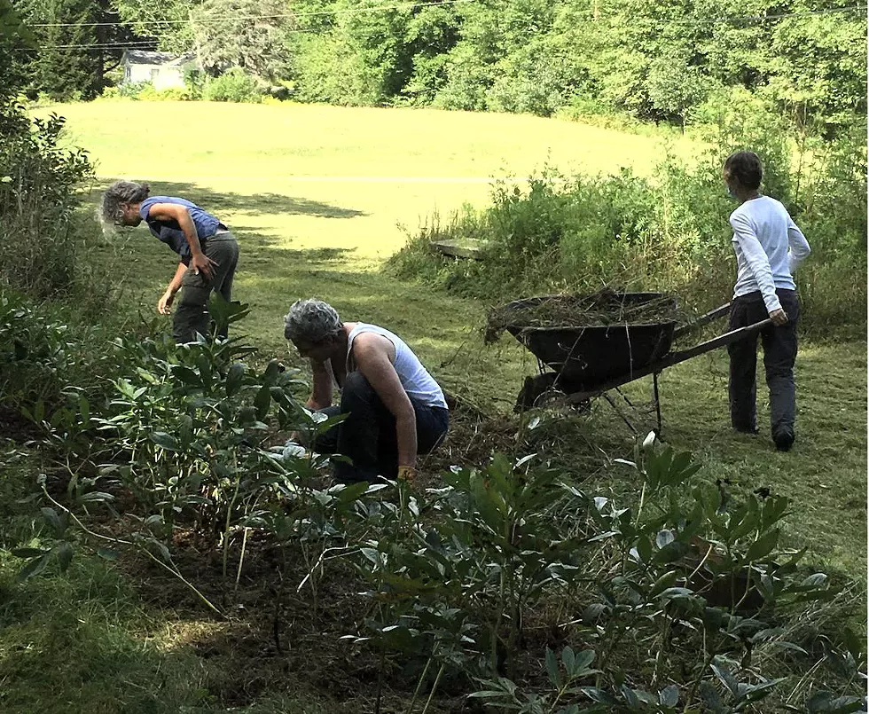 Volunteers beautifying the garden
