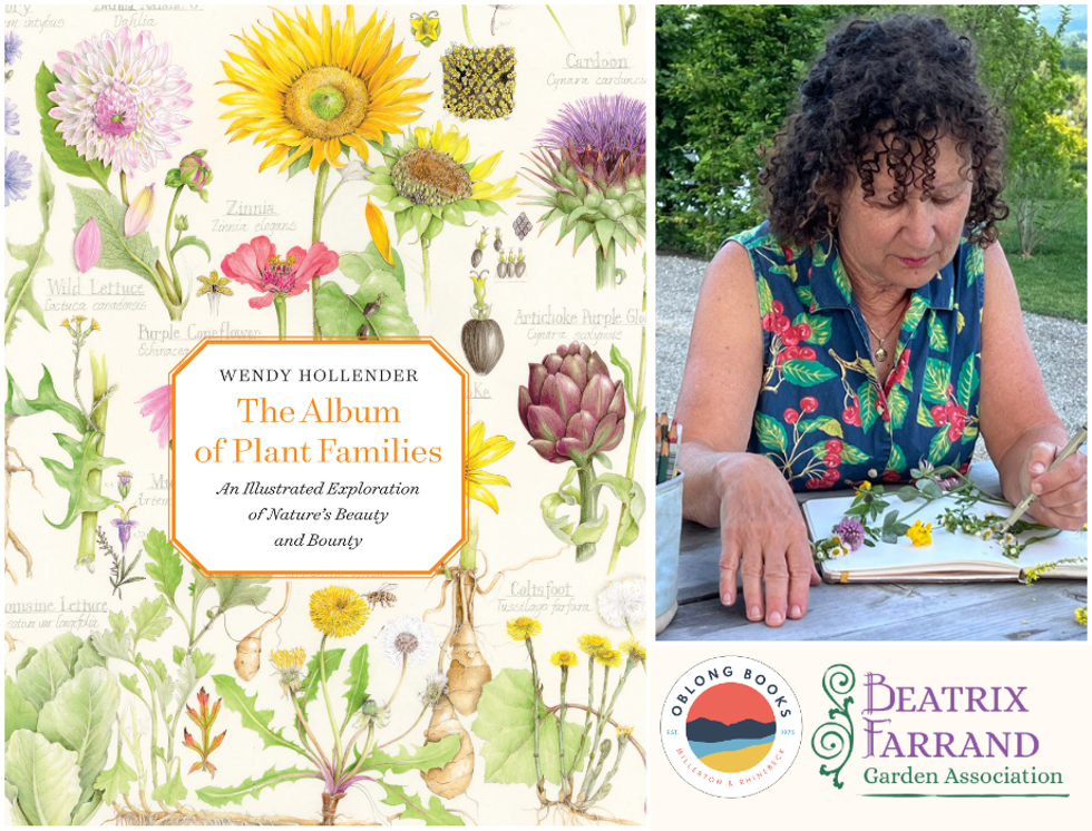 Wendy Hollender, THE ALBUM OF PLANT FAMILIES: An Illustrated Exploration of Nature's Beauty and Bounty
