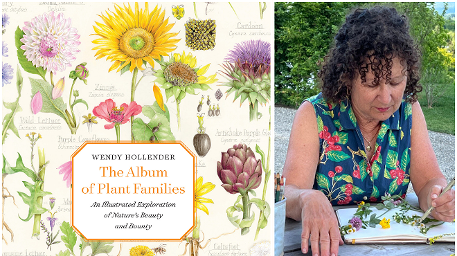 Image: Wendy Hollender, THE ALBUM OF PLANT FAMILIES: An Illustrated Exploration of Nature's Beauty and Bounty