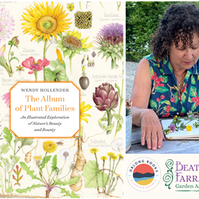 Image: Wendy Hollender, THE ALBUM OF PLANT FAMILIES: An Illustrated Exploration of Nature's Beauty and Bounty
