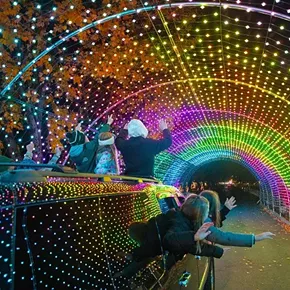Image: Westchester&rsquo;s Winter Wonderland Drive-Thru Holiday Light Extravaganza