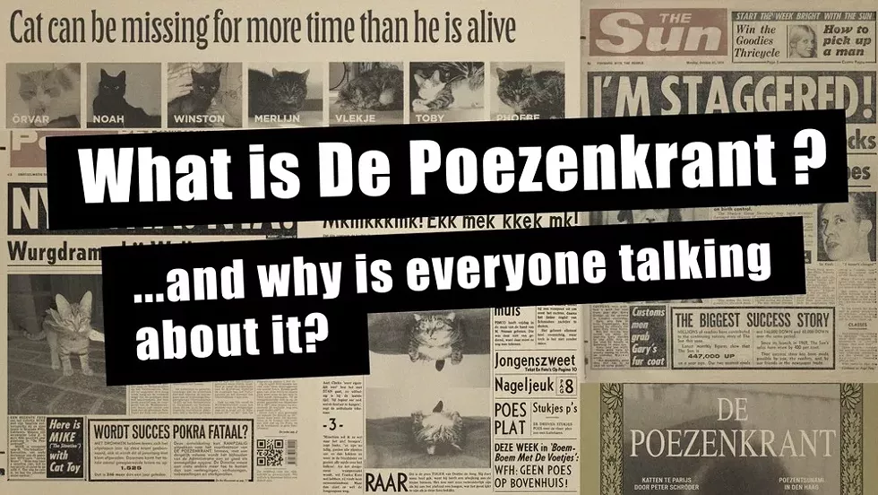 what-is-de-poezenkrant-.webp