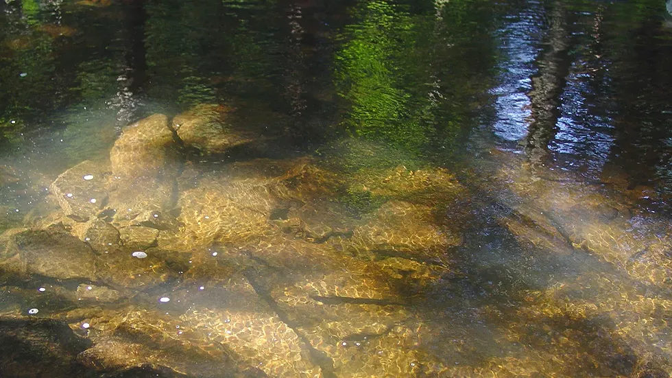 stream-clear-water-david_soete.webp