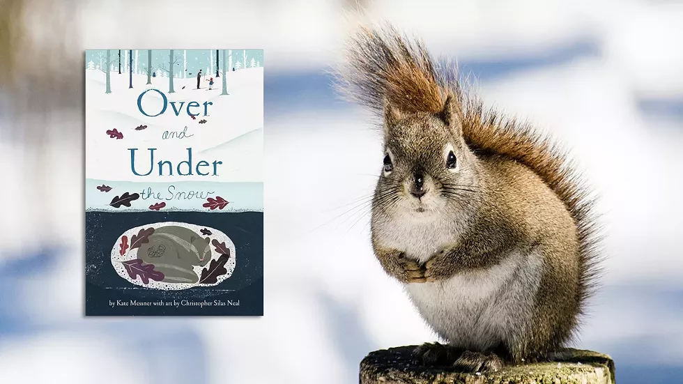 squirrel-in-snow-with-book-cover.webp
